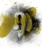 Wette und Schnell Bild 3