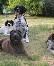 Village Canin le Grand l'Ilot image 10