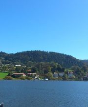 Vedettes Panoramiques du Saut du Doubs image 6