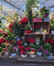 Dessapt Horticulture image 15