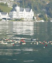 Mischler Bestattungen GmbH Bild 7