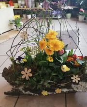 Blumen & Floristik Inh. D. Kästner Bild 6
