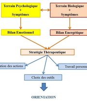Thérapie Et Harmonisation 14 image 3