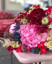 KALIS Fleurs Bild 10