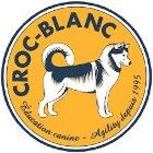 Croc-Blanc