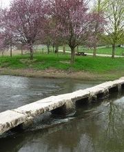 Taxi Le Petit Charmont image 3