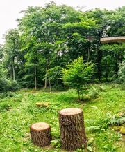 FriedWald Lauterbach Bild 8