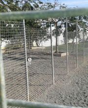Residencia canina Tarazona imagen 13