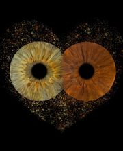 You & Eye Photo Montreux Bild 3