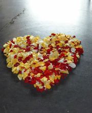 Blumen Fleischli Bild 5