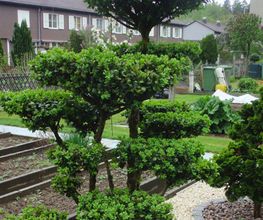 Bauert AG Parkpflege Gartenbau Bild 1