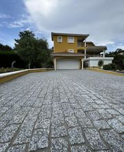 Afonso Pavage image 1