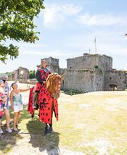 CHÂTEAU TIFFAUGES image 13