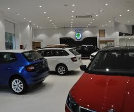 Taller SKODA M Automoción - Aragó imagen 9