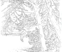 Cortella Manuel image 16
