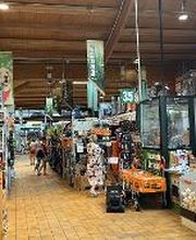 HORNBACH Gartencenter Potsdam Bild 4