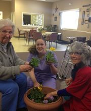 Active Day of Bristol image 4