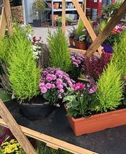 Bricomarché Romilly Sur Seine image 5