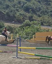 Escuela Hípica los Nogales imagen 8