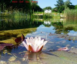 Jammertal Resort Bild 6