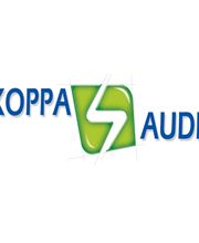 Koppa Audit image 1
