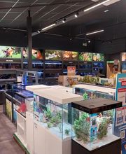 Animalis Brest image 1