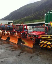 Besomi Trasporti SA Bild 1