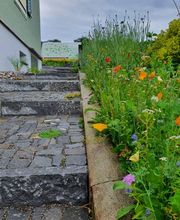 Küng Garten AG Bild 3