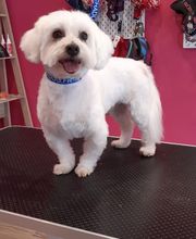 O'poils By Delphine image 4