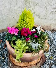 GartenGlück Homeyer Bild 2
