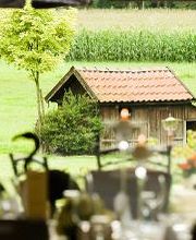 Hotel am Waldbad Bild 17