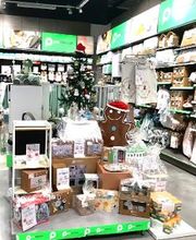 Orchestra Roanne-Perreux image 4