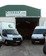 CORAEX imagen 1