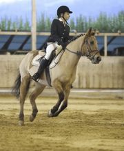 Reit- und Fahrstall Enderli Bild 10