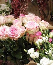 Joll'y Fleur image 1