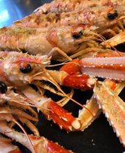 PEPE NERO immagine 2