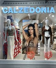 Calzedonia immagine 1