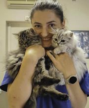 ClinicVet Vétérinaire Bernay image 2