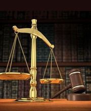 Bertin Brigitte image 2