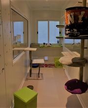 L'Arbre à chats - Pension pour chats image 3