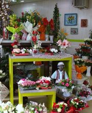 Central fleurs image 1