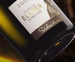 Champagne Ellner image 5