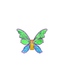 Ailes & l'Huile