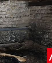 Agence Antiparasitaire du Bois Lignol image 3