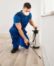 TRATAMIENTOS PLAGUINSA imagen 5