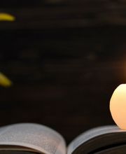 Chambre funéraire de Gaillon image 2