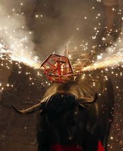 Pirotecnia Fiesta imagen 10