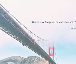 Force Langues image 3