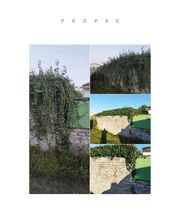 Rogoski Thibault image 1