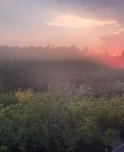 Baumschule Goßner Bild 8